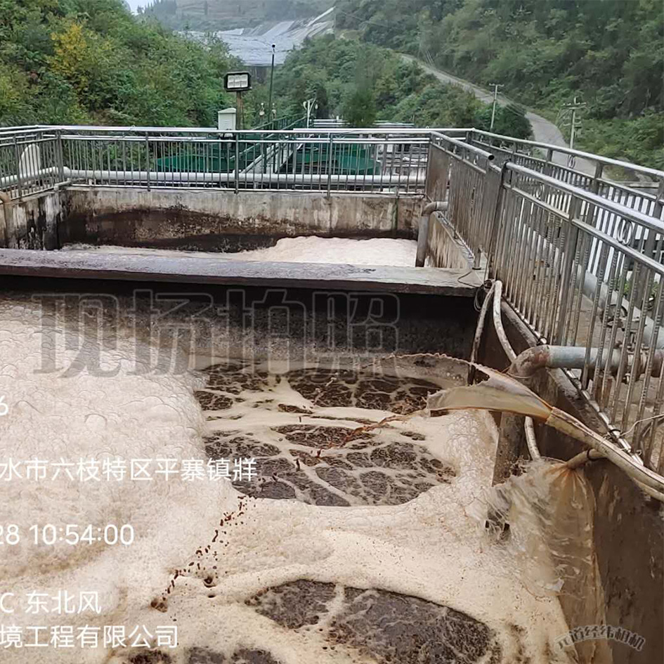 香蕉视频软件下载渗滤液处理中泡沫产生的危害
